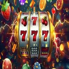 233 bet